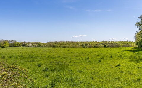 Susianna - 550M from the Sea: Lucht, Blauw, Groen, Dag, Gras, Grasland, Natuurlijke Omgeving, Vegetation, Natuurlijk Landschap, Ecoregio