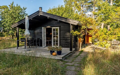 Sigref - 4Km from the Sea: Thatching, Verblijf, Huis, Dak, Huis, Boerderij, Hut, Landgoed, Dorp