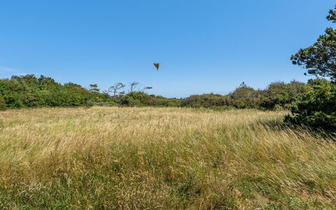 Toska - 800M from the Sea: Blauw, Verblijf, Huis, Huis, Boerderij, Landgoed, Siding
