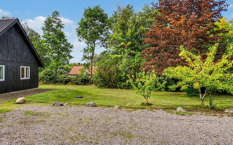 Zelda - 275M from the Sea: Groen, Boom, Gras, Blad, Struik, Huis, Tuin, Verblijf, Land Lot, Landelijk Gebied