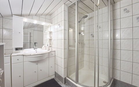 Holzegger: Flooring, Interieur Ontwerp, Verdieping, Loodgieterswerkinrichting, Plafond, Badkamer, Kamer, Loodgieter, Wastafel, Wastafel In De Badkamer