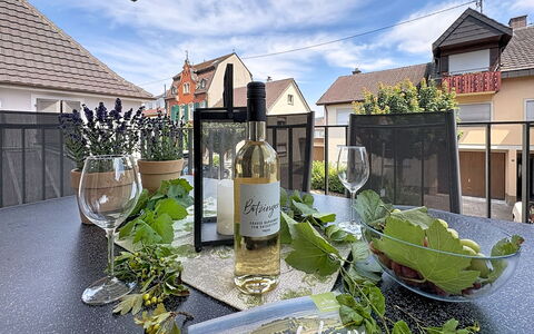 Endingen am Kaiserstuhl 100: Fles, Glazen Fles, Barware, Wijn, Wijnfles, Glaswerk, Kamerplant, Wijnglas