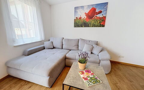 Endingen am Kaiserstuhl 100: Meubilair, Flooring, Verdieping, Interieur Ontwerp, Houten Vloer, Bankstel, Hout, Woonkamer, Huis, Appartement