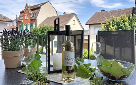 Endingen am Kaiserstuhl 100: Fles, Glazen Fles, Glas, Bloempot, Wijnfles, Kamerplant, Wijn