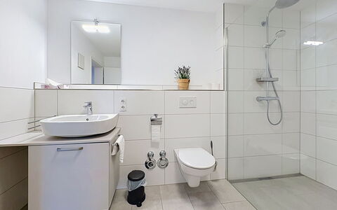 Endingen am Kaiserstuhl 100: Interieur Ontwerp, Badkamer, Flooring, Loodgieterswerkinrichting, Verdieping, Wastafel, Kraan, Wastafel In De Badkamer, Plafond, Loodgieter