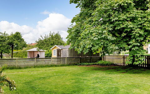 Odal: Gras, Struik, Tuin, Gazon, Groundcover, Schaduw, Backyard, Werf, Garden Gebouwen, Park