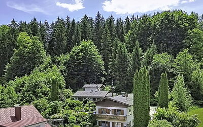 Velden am Wörthersee 39: Boom, Huis, Struik, Huis, Verblijf, Dak, Lariks, Woud, Tuin, Landgoed