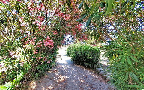 Le Tropique: Toevlucht, Hotel, Badplaats
