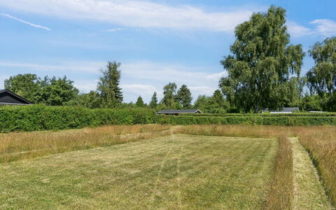 Kalervo - 2.9Km to the Fjord: Groen, Gras, Boom, Natuurlijke Omgeving, Grasland, Plain, Landschap, Veld, Land Lot