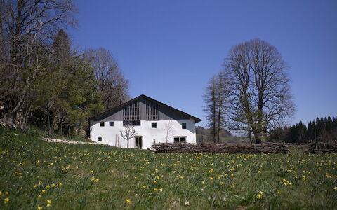 Appartements - N°5 et N°5B: Gras, Boom, Huis, Huis, Landelijk Gebied, Verblijf, Land Lot, Menselijke Nederzetting, Boerderij, Weide