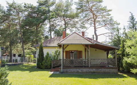 Stefano: Boom, Dak, Huis, Verblijf, Huis, Schaduw, Veranda, Tuin, Boerderij, Landgoed