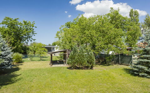 Stefano: Struik, Tuin, Schaduw, De Lente, Gazon, Woody Plant, Werf, Landscaping, Backyard, Park