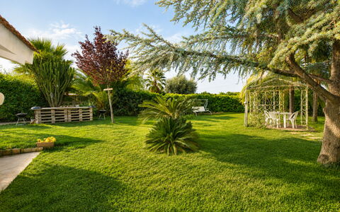 Villa Cigno Reale: Gras, Boom, Groen, Blad, Vegetation, Tuin, Struik, Landschap, Gazon