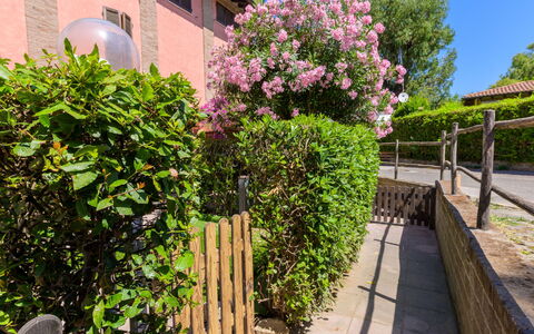 La Molletta: Bloem, Struik, Roze, Tuin, De Lente, Werf, Landscaping, Backyard, Hek