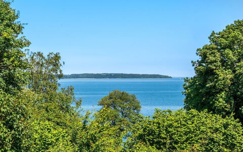 Leea - 100M from the Sea: Blauw, Water, Watervoorraden, Zwemwater, Groen, Blad, Vegetation, Natuurlijk Landschap, Zomer, Horizon