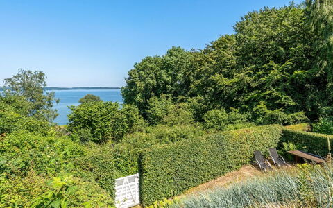 Leea - 100M from the Sea: Blauw, Groen, Blad, Vegetation, Struik, Plantengemeenschap, Kust En Oceanic Landvormen, Haag, Groundcover, Zee