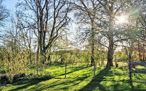 Schlönis Koppelblick: Blauw, Afdeling, Groen, Blad, Gras, Boom, Natuur, Natuurlijke Omgeving, Vegetation, Natuurlijk Landschap