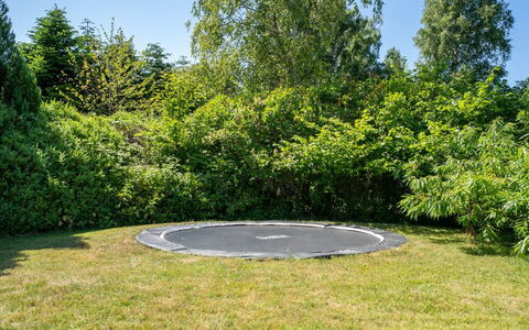 Lagho - 400M from the Sea: Gras, Tuin, Gazon, Trampoline, Park, Schaduw, Evergreen