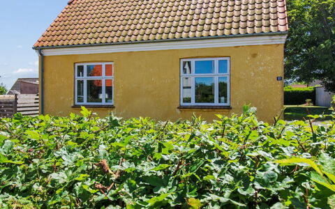 Toivo - 300M from the Sea: Groen, Geel, Dak, Struik, Huis, Verblijf, Land Lot, Landelijk Gebied, Tuin, Boerderij