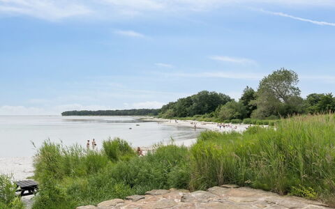 Toivo - 300M from the Sea: Kust, Kust En Oceanic Landvormen, Strand, Kust, Bank, Zee, Oceaan, Baai, Tropen, Zand