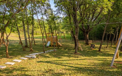 Ruma: Boom, Gras, Blad, Afdeling, Hout, Trunk, Land Lot, Plain, De Lente, Gazon