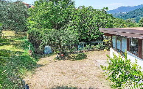La Casa di Menny: Meubilair, Buitenmeubels, Stoel, Tuin, Beits, Gazon, Hardwood, Schaduw, Backyard