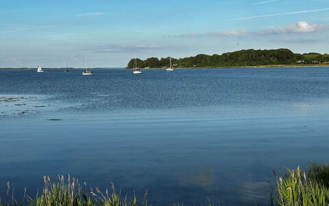 Snioulf - 800M from the Sea: Blauw, Water, Watervoorraden, Zwemwater, Kust En Oceanic Landvormen, Horizon, Waterweg, Kust, Bank, Meer