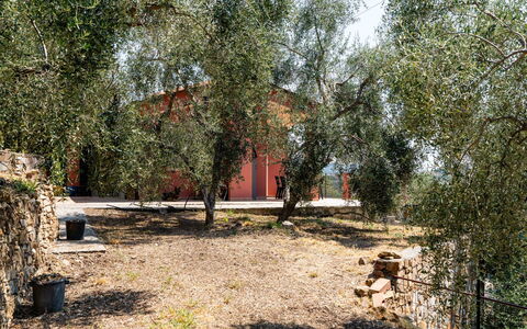Orto di Silvia: Boom, Blad, Afdeling, Menselijke Nederzetting, Trunk, Woody Plant, Takje, Schaduw, Backyard, Werf
