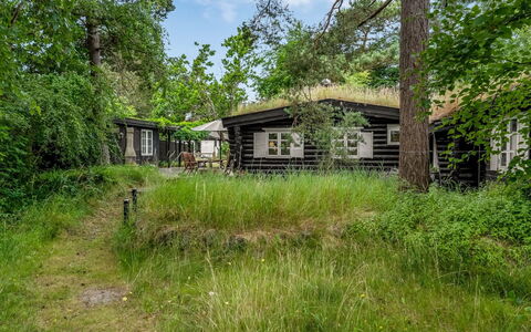 Armund - 50M from the Sea: Struik, Landelijk Gebied, Verblijf, Land Lot, Huis, Tuin, Garden Gebouwen, Landgoed, Blokhut