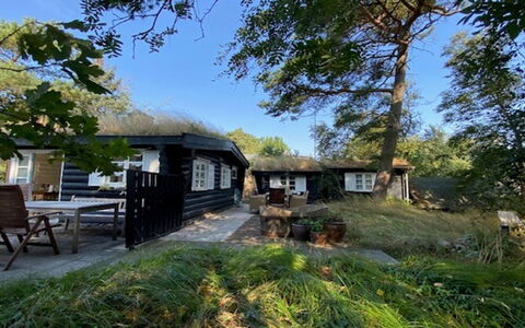 Armund - 50M from the Sea: Verblijf, Huis, Huis, Dak, Landelijk Gebied, Thatching, Schaduw, Garden Gebouwen, Werf, Blokhut