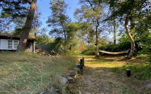 Armund - 50M from the Sea: Boom, Gras, Land Lot, Landelijk Gebied, Verblijf, Trunk, Backyard, Bodem, Tuin