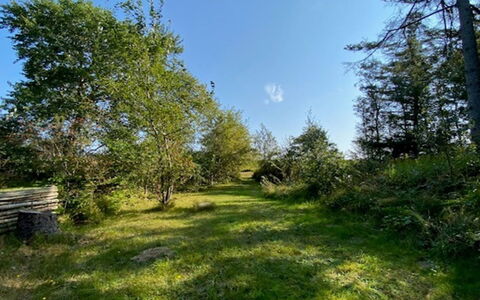 Armund - 50M from the Sea: Lucht, Blauw, Gras, Blad, Natuurlijke Omgeving, Groen, Natuur, Afdeling, Vegetation, Natuurlijk Landschap