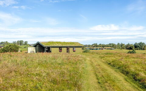 Satu - 1.5Km from the Sea: Gras, Groen, Grasland, Natuurlijk Landschap, Plain, Landelijk Gebied, Ecoregio, Land Lot, Landschap, Prairie