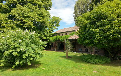 Villa Dorina: Boom, Blad, Struik, Gazon, Tuin, Verblijf, Landgoed, Backyard, Boerderij