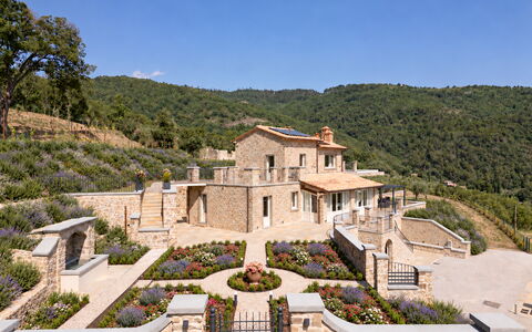 Villa Maddalena alla Guglielmesca: Struik, Landgoed, Tuin, Landscaping, Verblijf, Boerderij, Villa, Herenhuis, Dorp, Hacienda