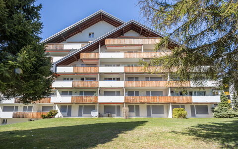 Val Signina 2-9: Siding, Lariks