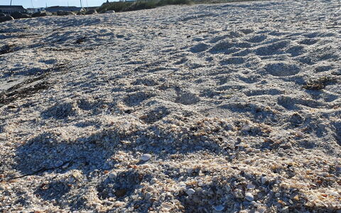 Gundula - 1.3Km from the Sea: Geologie, Bodem, Zand, Winter