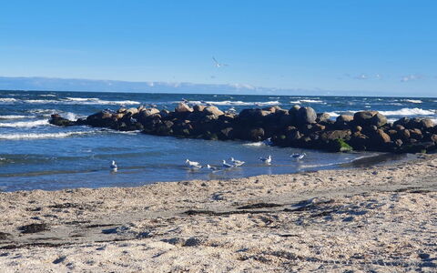 Gundula - 1.3Km from the Sea: Lucht, Blauw, Water, Watervoorraden, Zwemwater, Natuurlijke Omgeving, Horizon, Strand, Kust