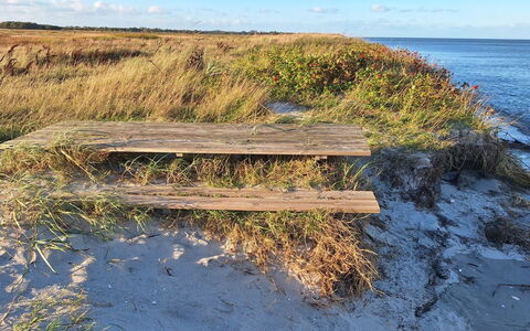 Gundula - 1.3Km from the Sea: Natuurlijke Omgeving, Horizon, Ecoregio, Zomer, Zee, Landschap, Kust En Oceanic Landvormen, Grasland, Plantengemeenschap, Kust