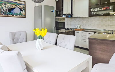 Accommodatie:&nbsp;Dripić i 424.1