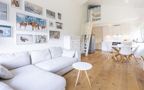 Casa Curnera 8: Interieur Ontwerp, Meubilair, Flooring, Muur, Verdieping, Bankstel, Hout, Plafond, Woonkamer, Houten Vloer