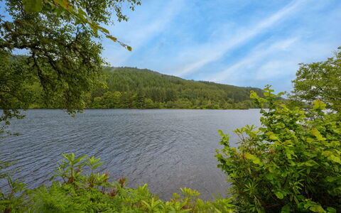 Loch Oich View (Lodge 6): Blauw, Water, Watervoorraden, Zwemwater, Groen, Natuur, Natuurlijke Omgeving, Natuurlijk Landschap, Blad, Vegetation