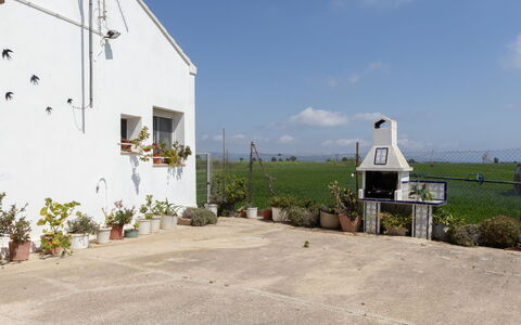 Pepeta: Family Car, Appartement, Luxevoertuig, Mid-Size Car, Parking, Sedan, Compacte Auto, Stadsauto
