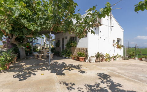Pepeta: Family Car, Appartement, Luxevoertuig, Mid-Size Car, Parking, Sedan, Compacte Auto, Stadsauto