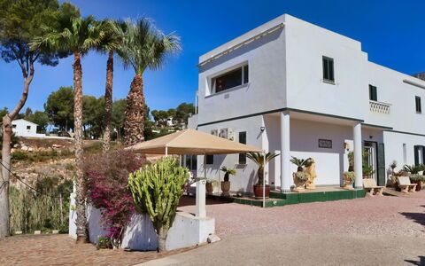 Castillo: Family Car, Appartement, Luxevoertuig, Mid-Size Car, Parking, Sedan, Compacte Auto, Stadsauto