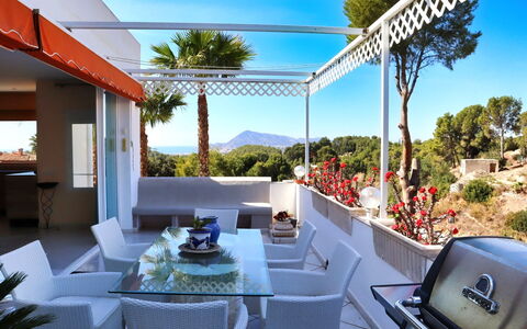 Castillo: Family Car, Appartement, Luxevoertuig, Mid-Size Car, Parking, Sedan, Compacte Auto, Stadsauto