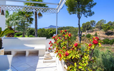 Castillo: Meubilair, Bloempot, Tuin, Buitenmeubels, Toevlucht, Schaduw, Eco Hotel, Stoel, Landscaping