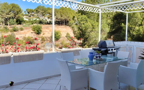 Castillo: Family Car, Appartement, Luxevoertuig, Mid-Size Car, Parking, Sedan, Compacte Auto, Stadsauto