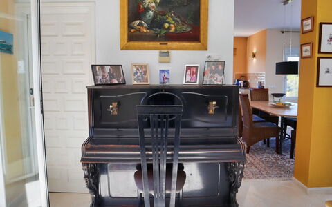 Castillo: Family Car, Appartement, Luxevoertuig, Mid-Size Car, Parking, Sedan, Compacte Auto, Stadsauto