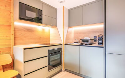 Accommodatie:&nbsp;Les Hauts de Vaujany 125.5